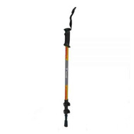 باتوم پکینیو	